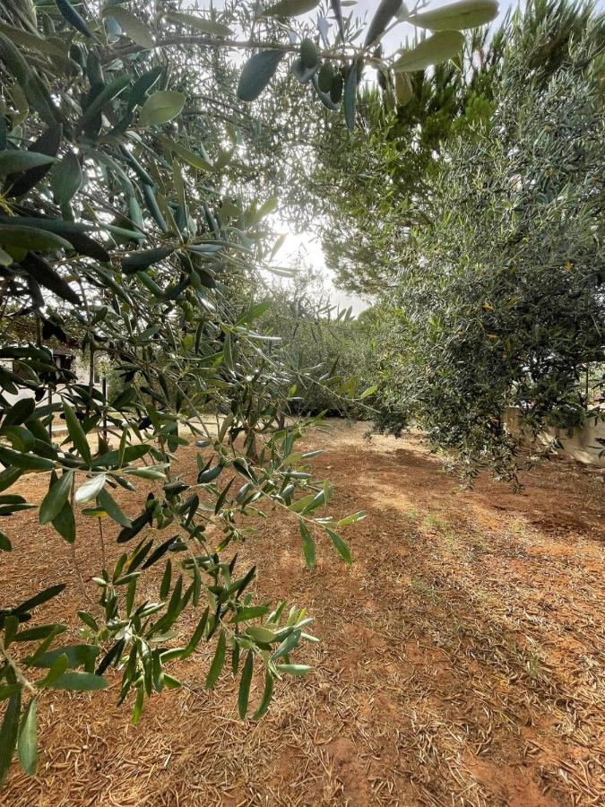 Il Moro - Casa Vacanze Terrasini Εξωτερικό φωτογραφία