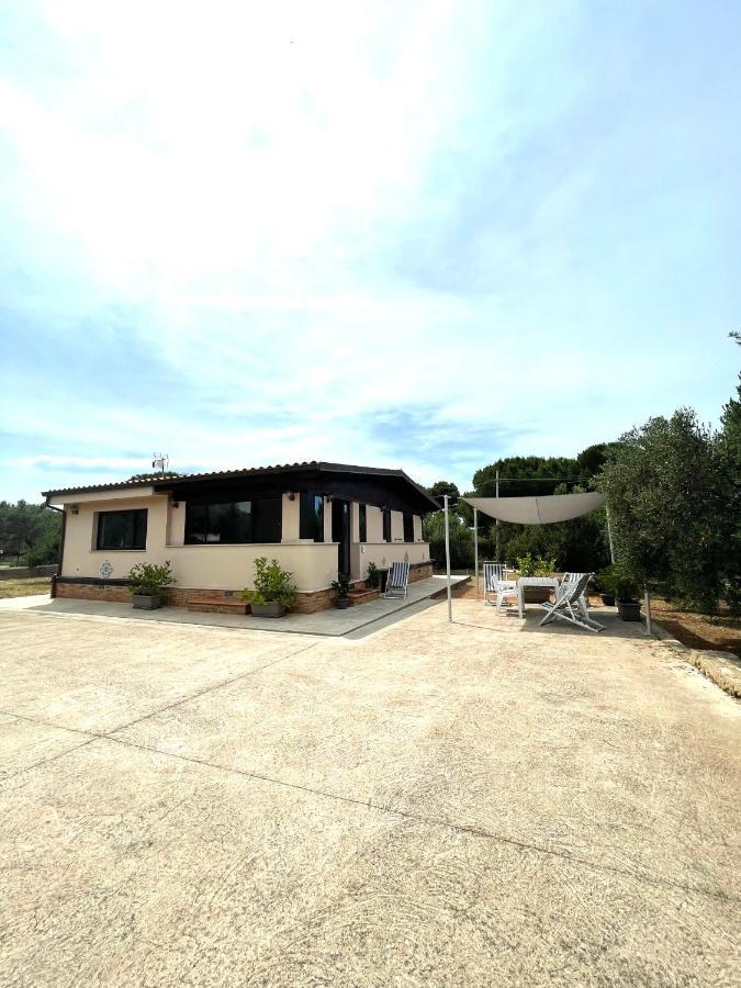 Il Moro - Casa Vacanze Terrasini Εξωτερικό φωτογραφία
